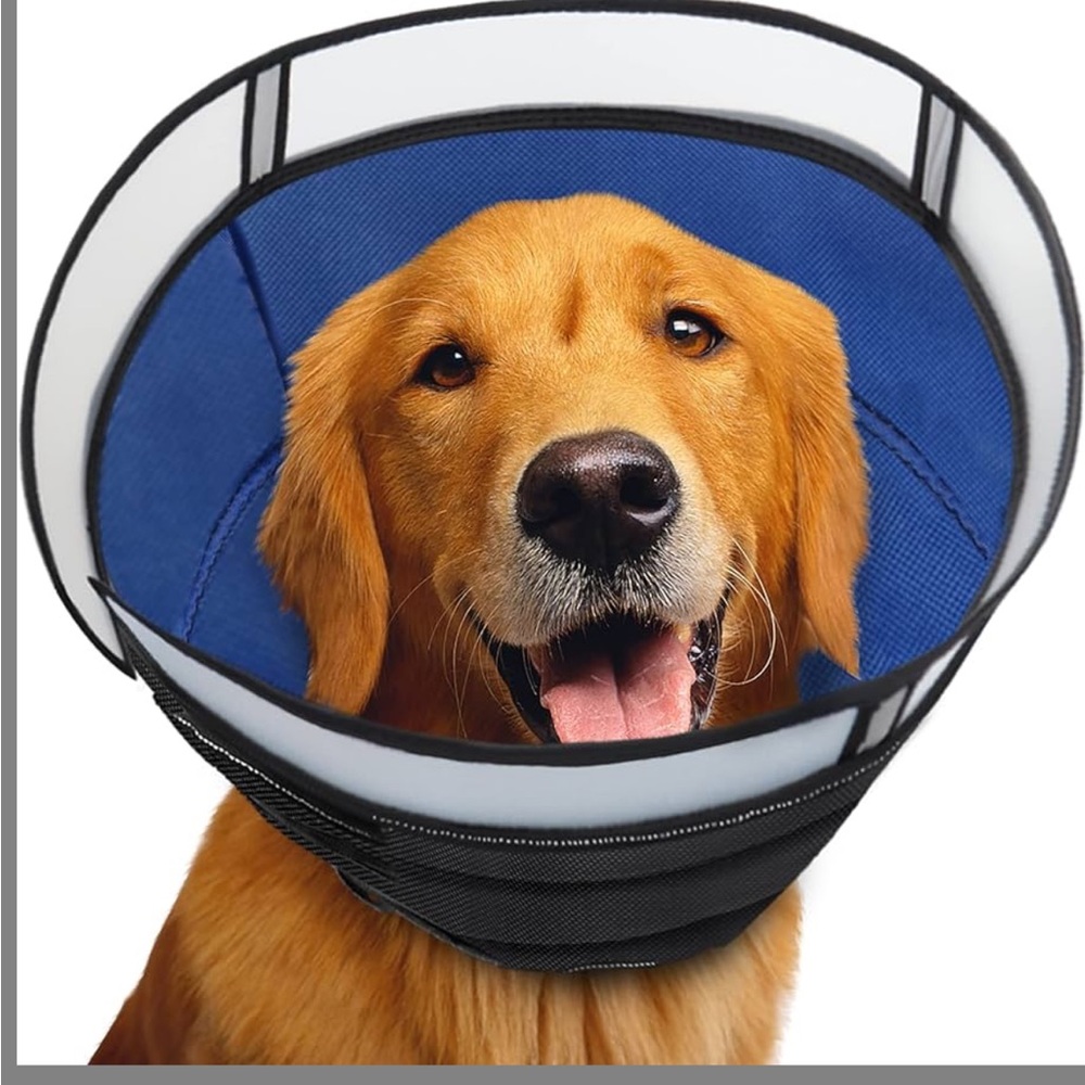 Dog/cats after surgery e-collar